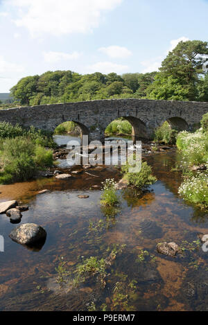 Die East Dart River fließt unter der Stonebridge aus dem Jahr 1780 in der Ortschaft Postbridge, Nationalpark Dartmoor, Devon, England, Großbritannien Stockfoto