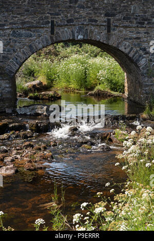 Die East Dart River fließt unter der Stonebridge aus dem Jahr 1780 in der Ortschaft Postbridge, Nationalpark Dartmoor, Devon, England, Großbritannien Stockfoto