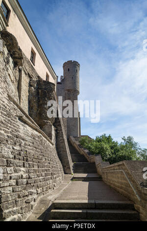 Treppe außerhalb der mittelalterlichen Stadtmauer (oder Stadtmauer oder Wänden von Tallinn) und einem Turm auf Toompea Hügel in der Altstadt von Tallinn, Estland, im Sommer. Stockfoto