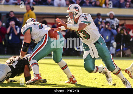 Oakland, Kalifornien, USA. 6. Dezember, 1998. Oakland Raiders vs. Miami Delphine An den Oakland Alameda County Coliseum Sonntag, 6. Dezember 1998. Delphine beat Räuber 27-17. Miami Dolphins Quarterback Dan Marino Credit: Al Golub/ZUMA Draht/Alamy leben Nachrichten Stockfoto