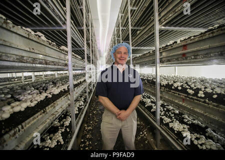 (180718) - Pennsylvania, Juli 18, 2018 (Xinhua) - Chris Alonzo, Präsident von Pietro Industries, ist auf seiner Farm in Chester County im Pennylvania, die Vereinigten Staaten, 9. Juli 2018 gesehen. Während US-Präsident Donald Trump eine "wirtschaftliche Feind sieht" in China, den nordöstlichen US-Grafschaft von Chester in Pennylvania sieht einen wirtschaftlichen Partner. Um mit der Funktion: US-Partnerschaften mit China Pilz trotz Handelskonflikte (Xinhua/Wang Ying) (zcc) Stockfoto