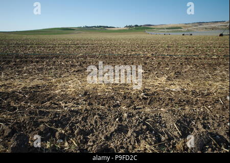 Agrarlandschaft Stockfoto