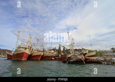 Bericht der Fischerhafen von Guaymas Sonora. Reportaje del Puerto pesquero de Guaymas Sonora. Stockfoto