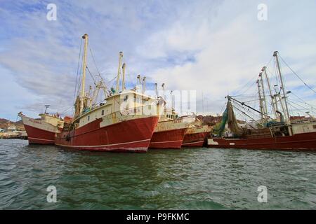Bericht der Fischerhafen von Guaymas Sonora. Reportaje del Puerto pesquero de Guaymas Sonora. Stockfoto
