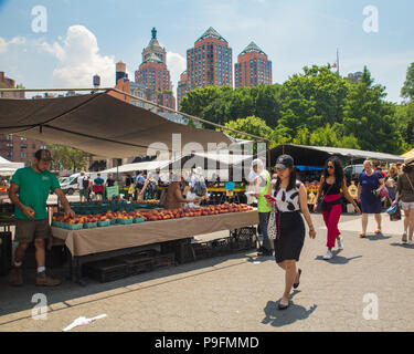 NEW YORK CITY - 16. JULI 2018: Einkaufen, produzieren auf Anzeige am Union Square Greenmarket Farmers Market in Manhattan. Stockfoto