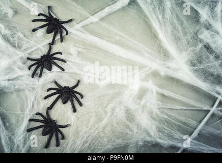 Halloween Konzept mit Spinnen auf grauem Hintergrund Stockfoto