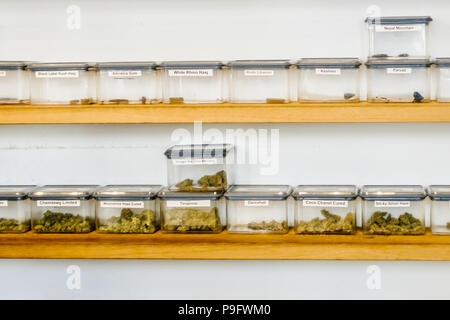 Cannabisharz und pflanzliche Marihuana in Containern in einem Café in Den Haag, Niederlande. Stockfoto