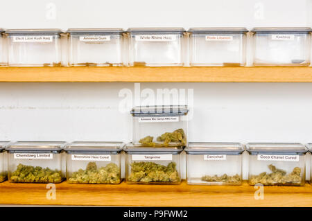 Cannabisharz und pflanzliche Marihuana in Containern in einem Café in Den Haag, Niederlande. Stockfoto