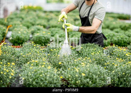 Arbeitnehmer mit Blumen im Gewächshaus Stockfoto