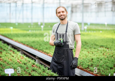 Arbeitnehmer im Gewächshaus Stockfoto