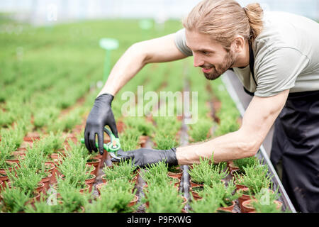 Arbeiter mit Pflanzen im Gewächshaus Stockfoto