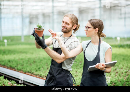 Workkers mit digitalen Tablet im Gewächshaus Stockfoto