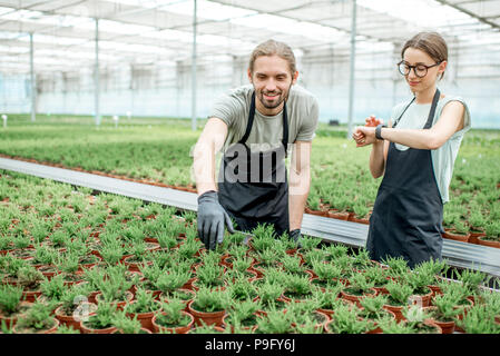 Arbeitnehmer im Gewächshaus Pflanzen Produktion Stockfoto