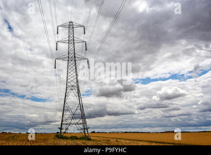 Große Strom Pylon mit Pylonen in der Ferne in einem Feld von Mais zur Kontrolle der Schnitthöhe Stockfoto