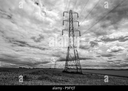 Schwarz-weiß Foto von großen Strom Pylon mit Pylonen in der Ferne in einem Feld von Mais zur Kontrolle der Schnitthöhe Stockfoto