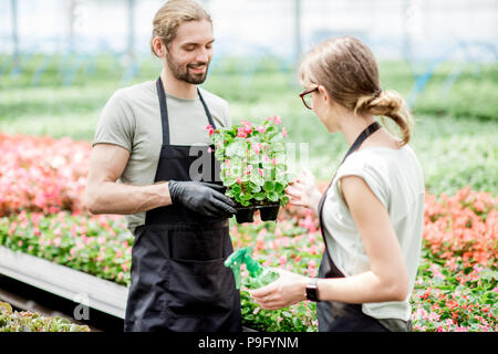 Arbeitnehmer mit Blumen im Gewächshaus Stockfoto