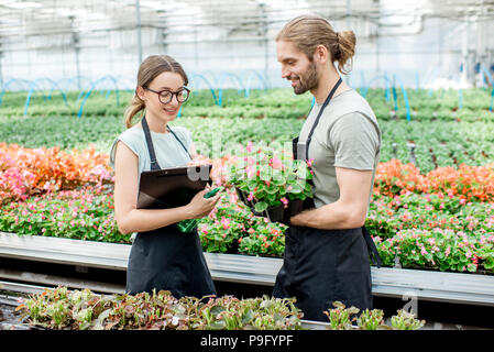 Arbeitnehmer mit Blumen im Gewächshaus Stockfoto