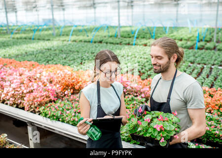 Arbeitnehmer mit Blumen im Gewächshaus Stockfoto