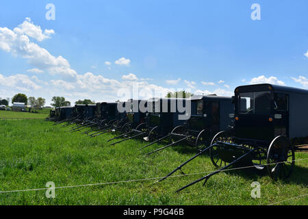 Lancaster County Amish Farm mit einem Bündel Buggys geparkt. Stockfoto