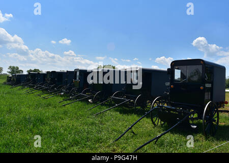 Iconic Amish Buggies in einer Farm Feld in Lancaster County geparkt. Stockfoto