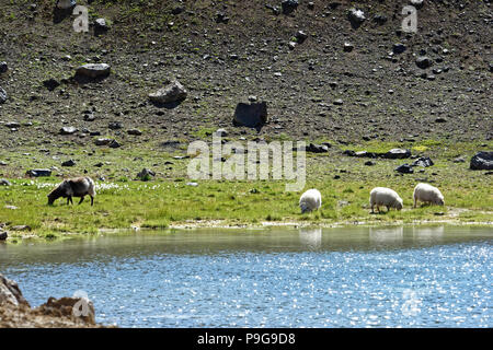 Explosion Krater Viti, Krafla Vulkan, in der Nähe von Reykjahlid, Island Stockfoto