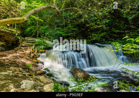 Cayuga fällt, Ricketts Glen State Park, Benton, Pennsylvania, USA Stockfoto