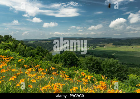 Marie Antoinette Lookout, Französisch Azilum, Susquehanna, Bradford County, PA, USA Stockfoto