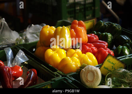 Schachteln von frischem Paprika auf einem Bauernmarkt in Salzburg, Österreich Stockfoto