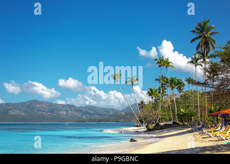 Leere schönen karibischen Strand mit weissem Sand, Liegestühle und hohen Palmen. Dominikanische Republik Stockfoto