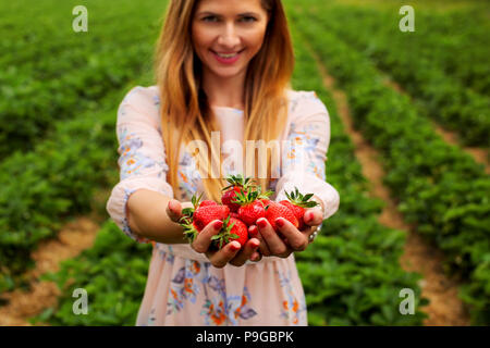 Frau im Frühjahr dress, halten sich an den Händen voller frisch gepflückte Erdbeeren, mit Erdbeer orchard Feld im Hintergrund Stockfoto