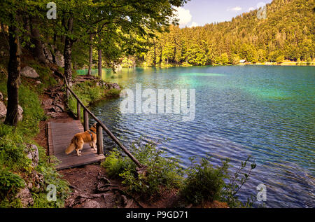 Fusine See, Tarvisio - Italien Stockfoto