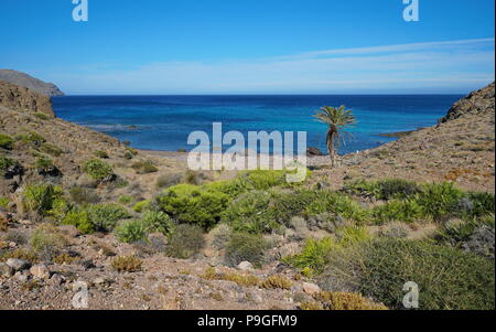 Wild Cove in Cabo de Gata-Níjar Naturparks, Cala de Los Toros in der Nähe von La Isleta del Moro, Mittelmeer, Almeria, Andalusien, Spanien Stockfoto