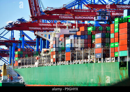 Containerschiff im Hafen von Hamburg, Deutschland, Europa Stockfoto