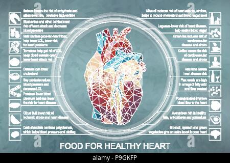 Vector Illustration Infografik. Nahrung für gesunde Herzen Stock Vektor