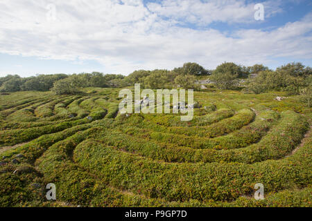 Jungsteinzeit Stein Labyrinth, Solovetsky Inseln, Russland Stockfoto