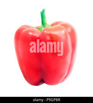 Foto von einem hellen roten Paprika auf weißem Hintergrund Stockfoto