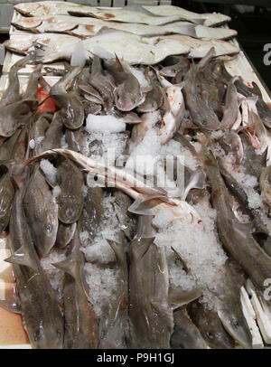 Fisch. Fischmarkt. Fisch essen. Fisch, der für den Verkauf in Billingsgate Fish Market, London, UK. Foto Russell Moore. Stockfoto