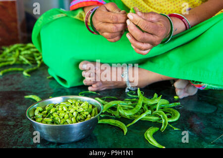 Hände einer Frau Erbsen aus der Hülse in Ahmedabad, Indien. Stockfoto