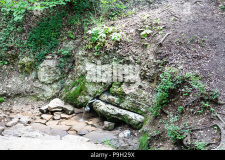 Tour zu Shapsugskaya anomale Zone - Silver Spring (Quelle von Lebenden und Toten Wasser) in Abinsk Ausläufern des Kaukasus in der Kuban-region der Rus Stockfoto