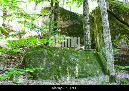 Tour zu Shapsugskaya anomale Zone - antike Sandstein Platten in prähistorischen Shambala Steinbruch in Abinsk Ausläufern des Kaukasus in Kuban Regio Stockfoto