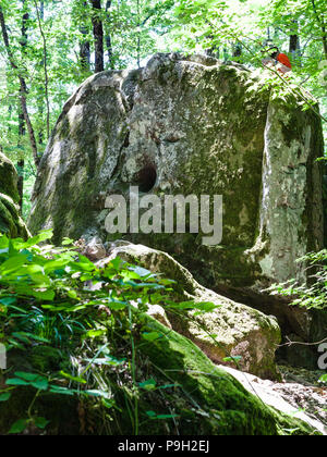 Tour zu Shapsugskaya anomale Zone - geschnitzte Rock in prähistorischer Shambala Karriere in Abinsk Ausläufern des Kaukasus in Kuban Region Russlands Stockfoto