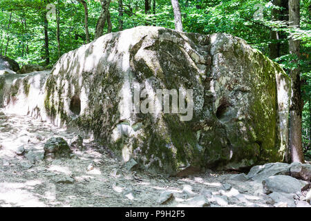 Tour zu Shapsugskaya anomale Zone - geschnitzte Rock in prähistorischer Shambala Steinbruch in Abinsk Ausläufern des Kaukasus in der Kuban-region von Russi Stockfoto