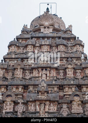 Carving Detail aus der außerhalb der wichtigsten Schrein, oder Vimana, im 12. Jahrhundert Airavatesvara Tempelkomplex in Darasuram in Tamil Nadu Stockfoto