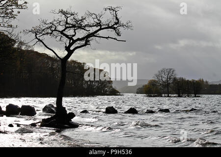 Ein einsamer Baum in silouhette gegen einen kalten Loch und einen grauen, bewölkter Himmel, mit Felsen ins Wasser führenden am östlichen Ufer von Loch Lomond Stockfoto