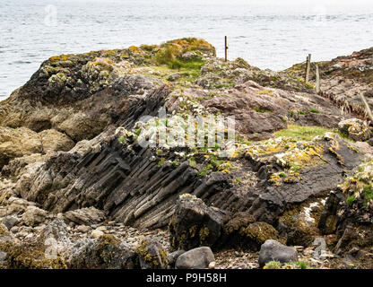 Die Orgelpfeifen am Kilchattan auf der Isle of Bute in Schottland sind komprimiert und erhitzt Sandstein statt Basalt. Stockfoto