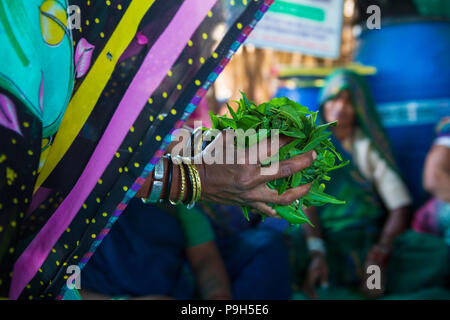 Eine Gruppe von lokalen Landwirtinnen über die Herstellung von organischem Dünger für Ihre Betriebe zu einem Landwirt Ausbildung Schule, Sendhwa, Indien lernen. Stockfoto