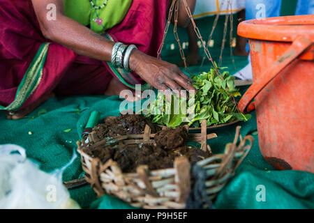 Eine Gruppe von lokalen Landwirtinnen über die Herstellung von organischem Dünger für Ihre Betriebe zu einem Landwirt Ausbildung Schule, Sendhwa, Indien lernen. Stockfoto