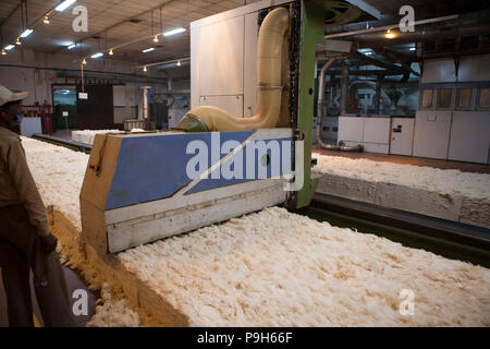 Organic Cotton in einer Textilfabrik, wo organische Baumwolle verwendet wird Kleidung zu machen, Indore, Indien gesponnen. Stockfoto