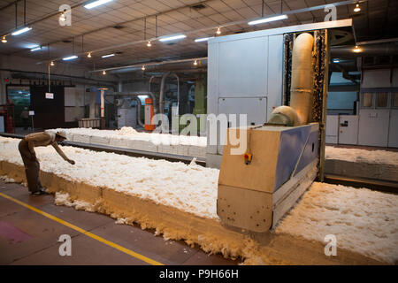 Organic Cotton in einer Textilfabrik, wo organische Baumwolle verwendet wird Kleidung zu machen, Indore, Indien gesponnen. Stockfoto