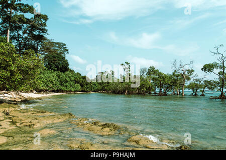 Coral rocks im Vordergrund mit blauen Wasser im Hintergrund bei Elefanten Strand, Havelock Island, Andamanen und Nikobaren, Indien Stockfoto